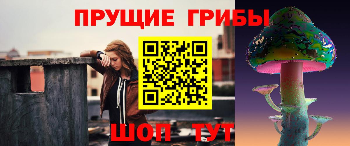 Сергиев Посад  Псилоцибиновые грибы мицелий  Вход с VPN 